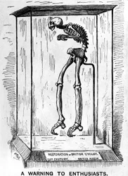 A Warning to Enthusiasts, published in 